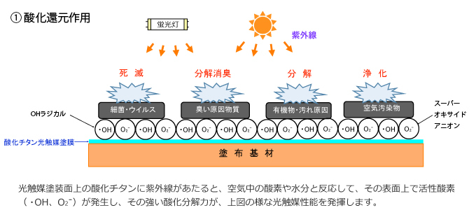 酸化還元作用