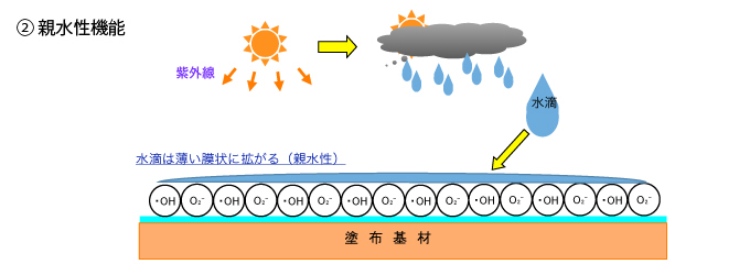 親水作用