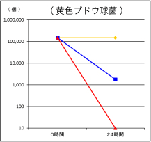 抗菌能力評価試験 黄色ブドウ球菌